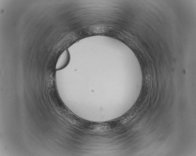 X0000071770555200607282216