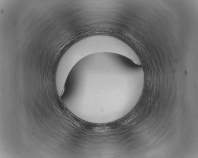 X0000071770556200607282216