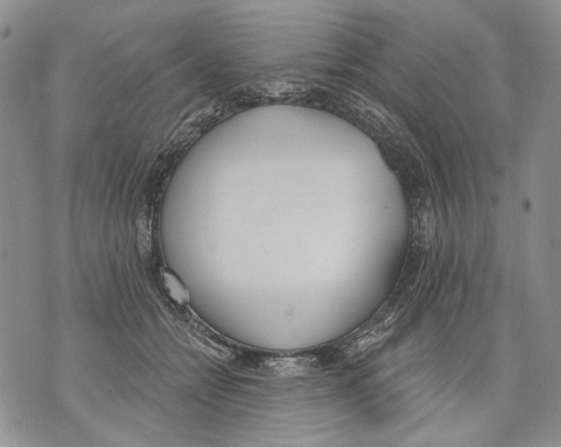 X0000071770558200607282216