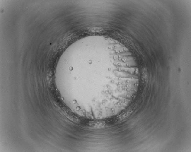 X0000071770559200607282216