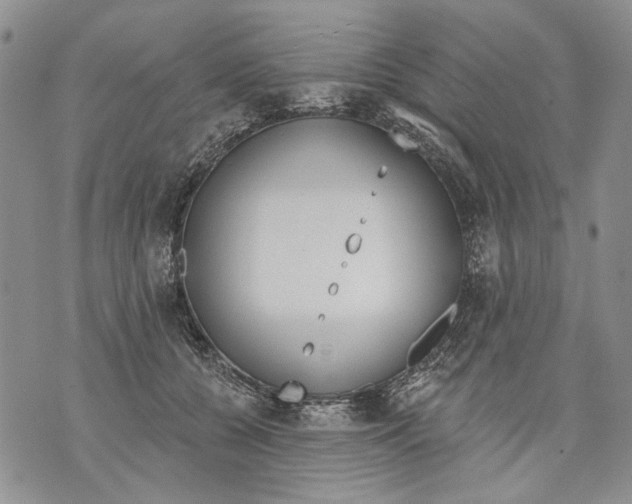 X0000071770560200607282216