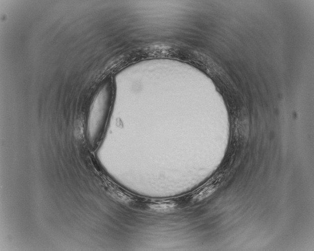 X0000071770561200607282216