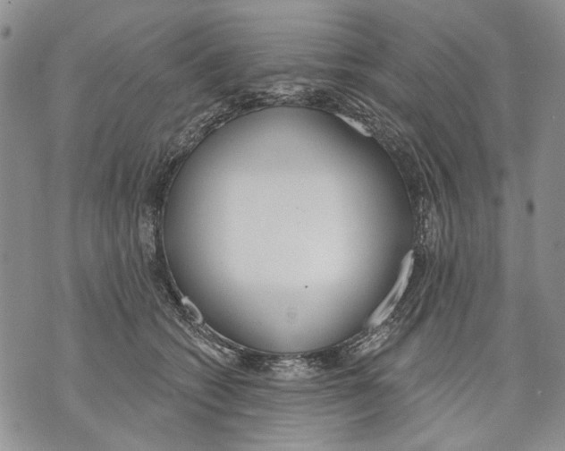 X0000071770562200607282216