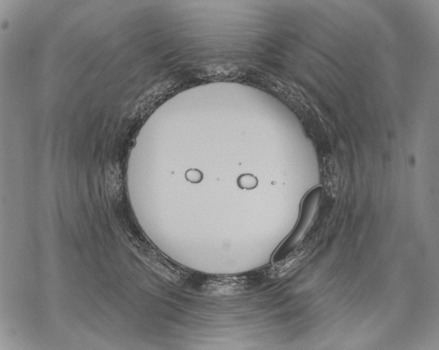 X0000071770563200607282216