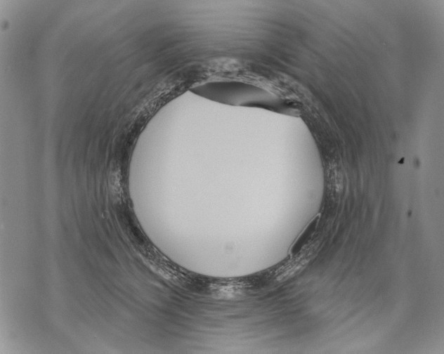 X0000071770564200607282216