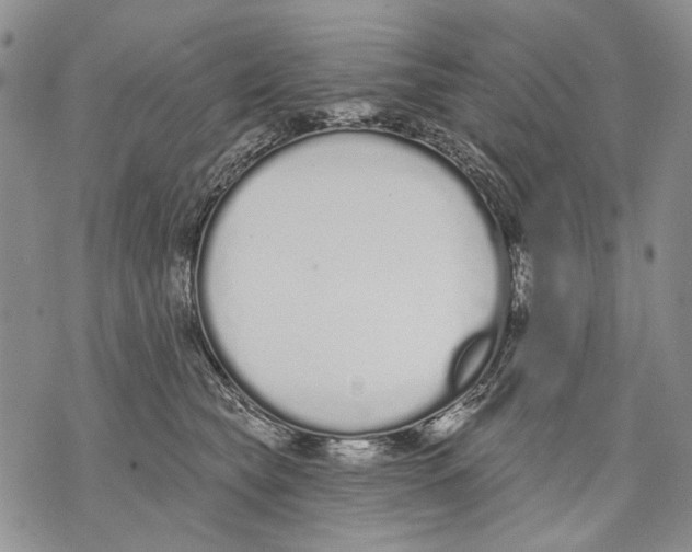 X0000071770565200607282216