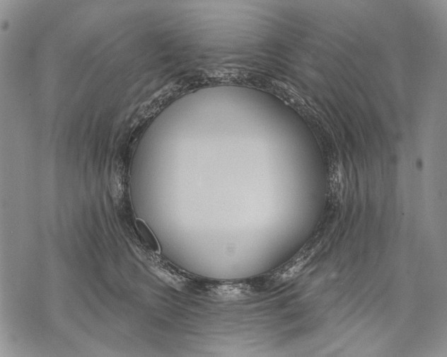 X0000071770566200607282216