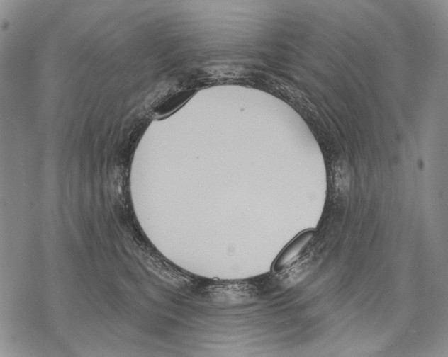 X0000071770567200607282216