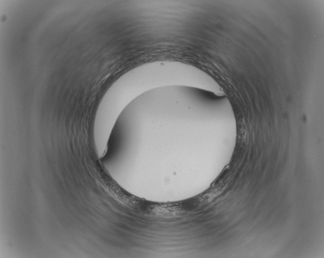 X0000071770568200607282216