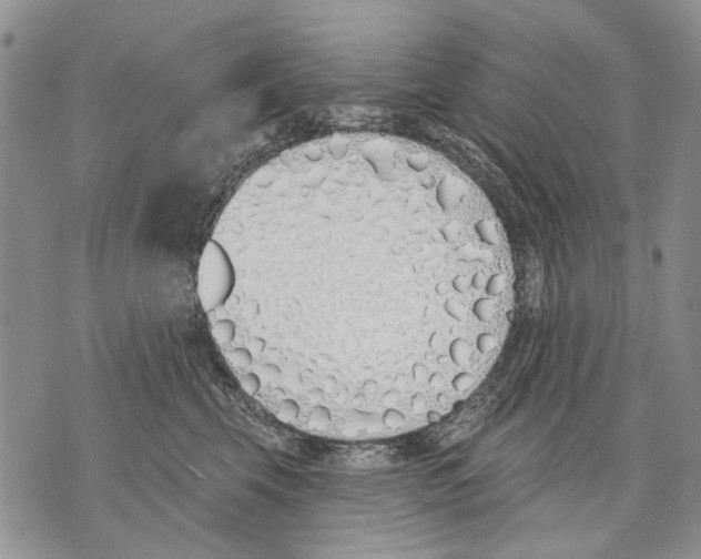 X0000071770569200607282216