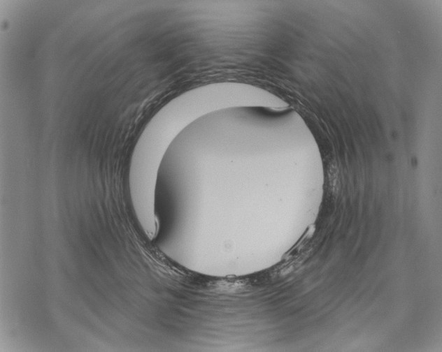 X0000071770570200607282216