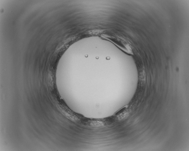 X0000071770572200607282216