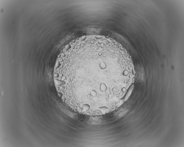 X0000071770573200607282216