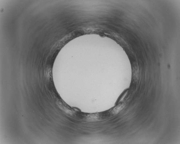 X0000071770574200607282216