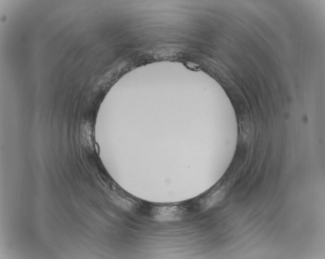 X0000071770575200607282216