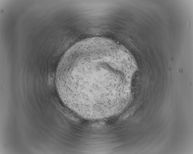 X0000071770576200607282216