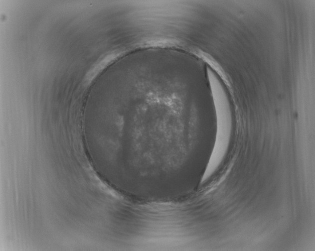 X0000071770577200607282215