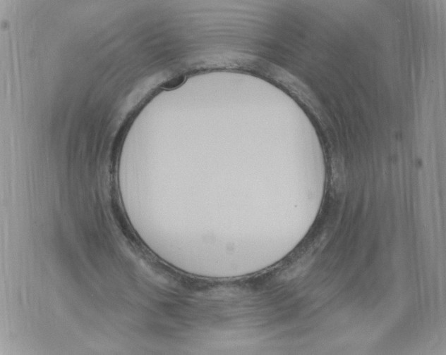 X0000071770578200607282215