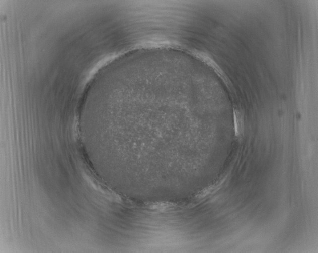 X0000071770579200607282215