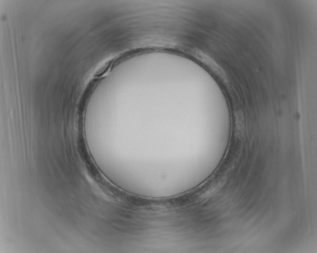 X0000071770580200607282215