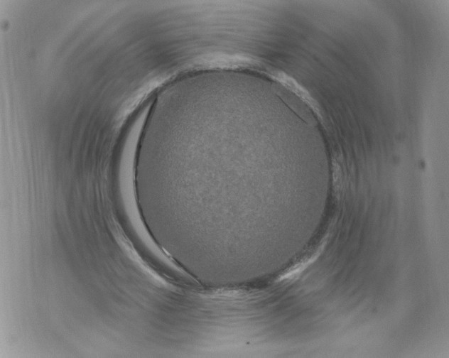 X0000071770581200607282215