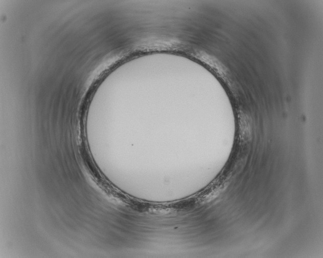 X0000071770582200607282215