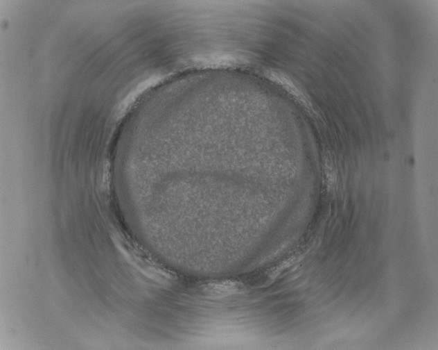 X0000071770583200607282215