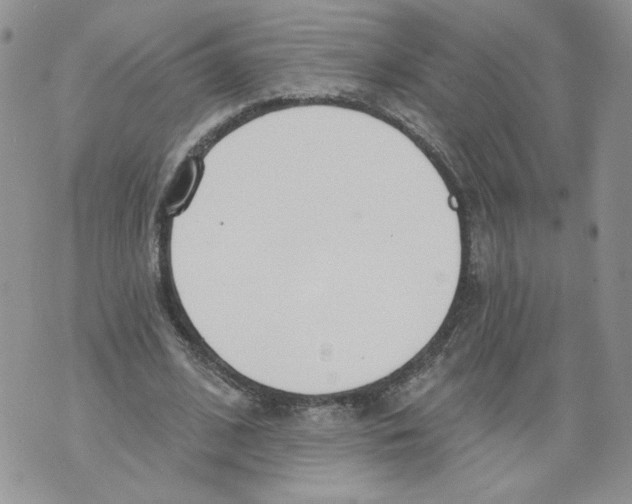 X0000071770584200607282215