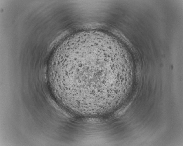 X0000071770585200607282215