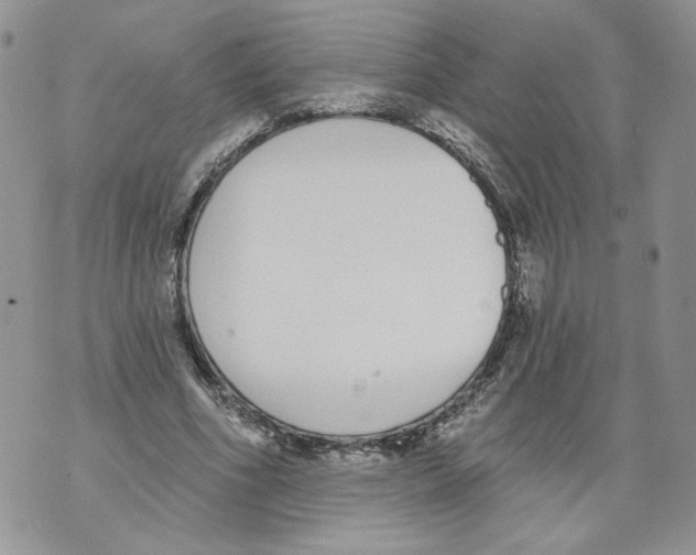 X0000071770586200607282215