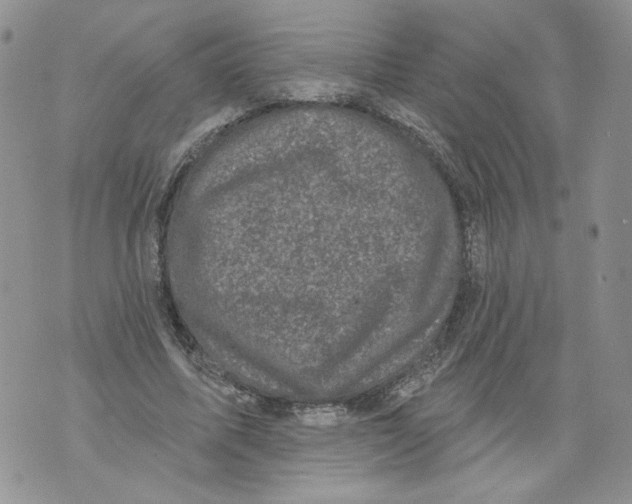 X0000071770587200607282215