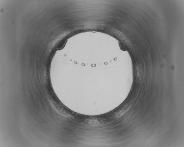 X0000071770588200607282215