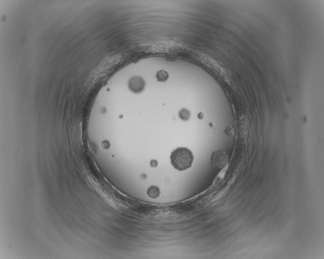 X0000071770589200607282215