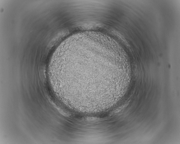 X0000071770590200607282215