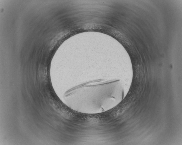 X0000071770592200607282215