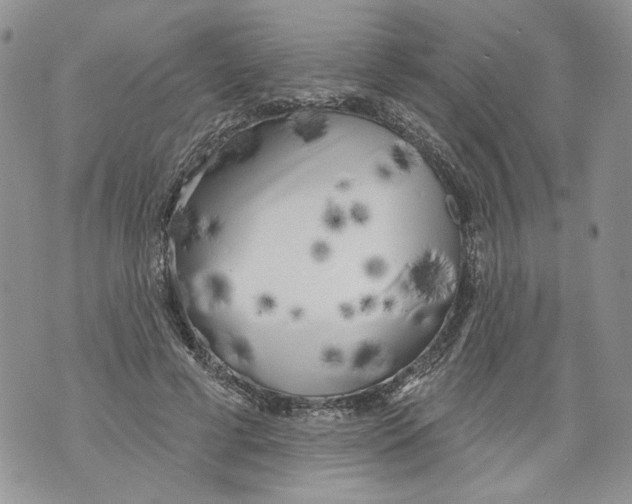 X0000071770593200607282215