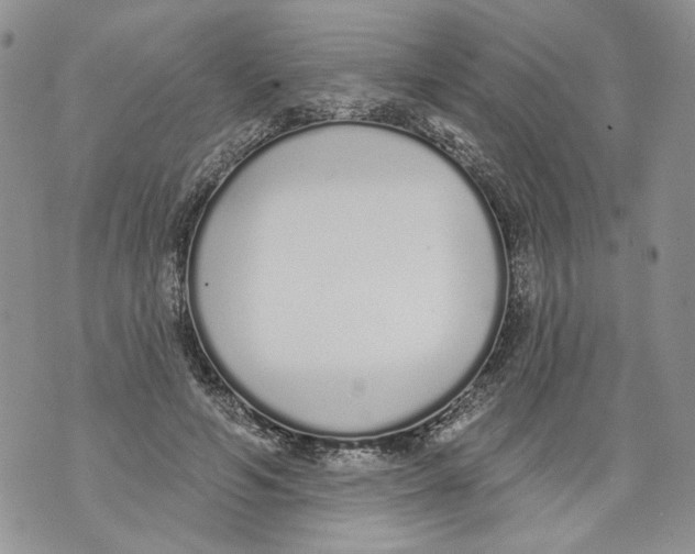 X0000071770594200607282215