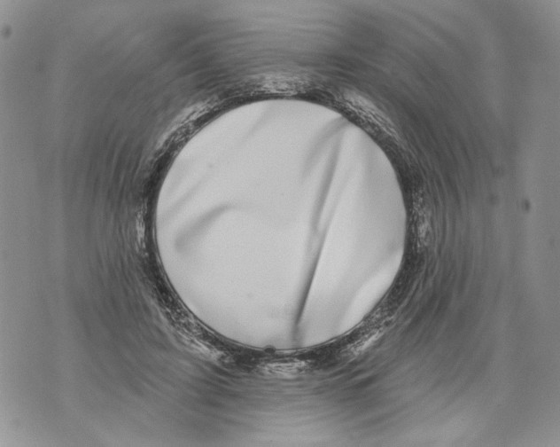 X0000071770595200607282215