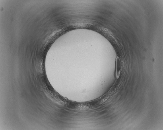 X0000071770596200607282215