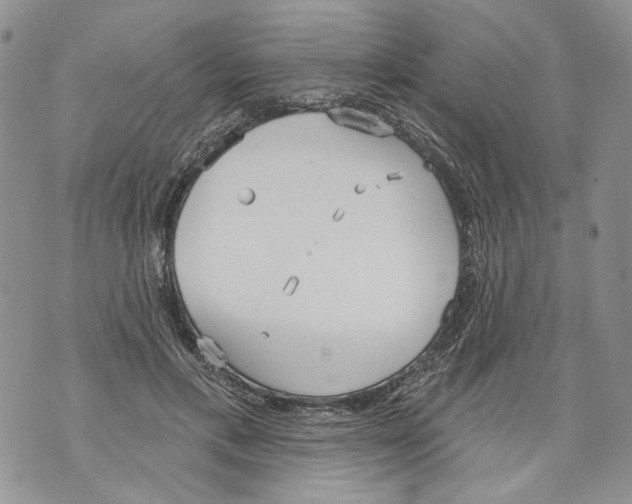 X0000071770597200607282215