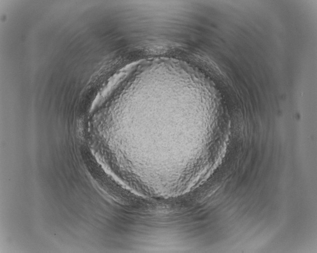 X0000071770598200607282215