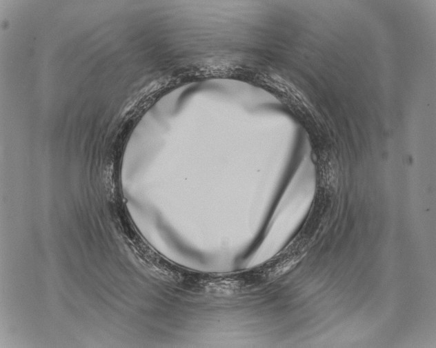 X0000071770599200607282215