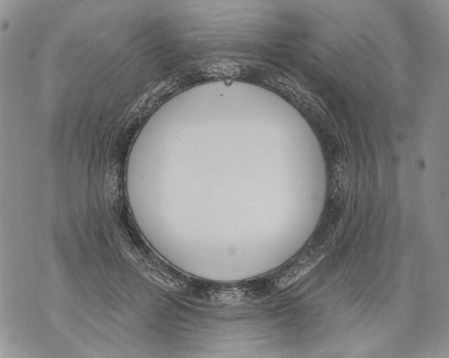 X0000071770600200607282215