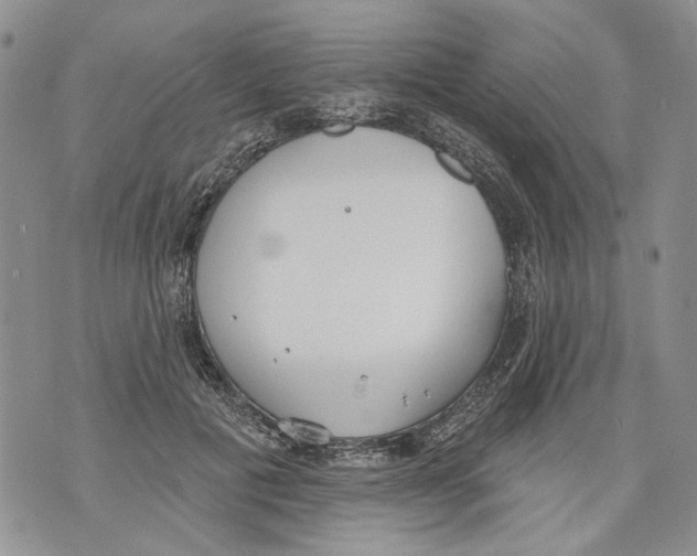 X0000071770601200607282215