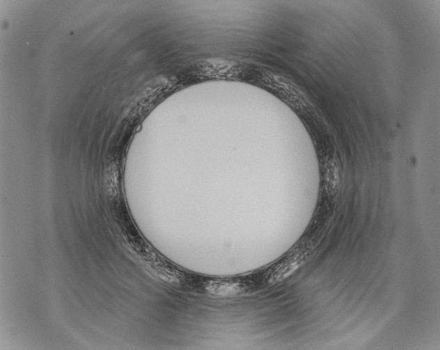 X0000071770602200607282215