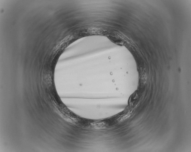 X0000071770603200607282215