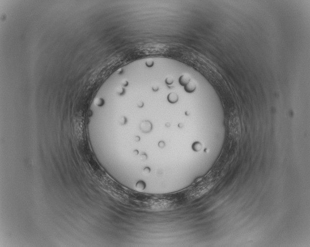 X0000071770604200607282215