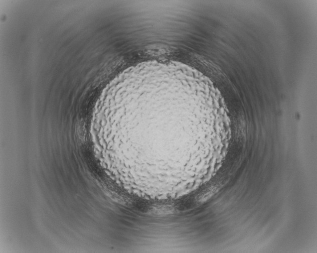 X0000071770606200607282215