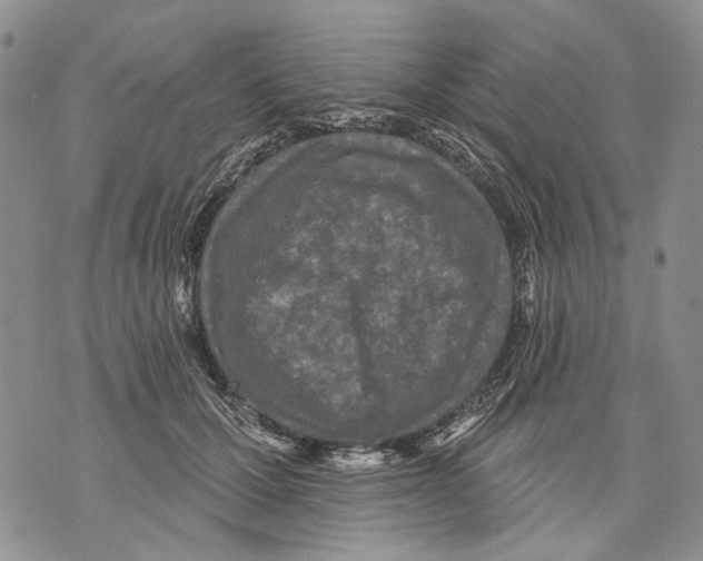 X0000071770607200607282215