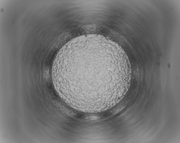 X0000071770610200607282215